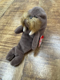 RARE VINTAGE TY Beanie Baby Jolly The Walrus Retired 1996 With Errors