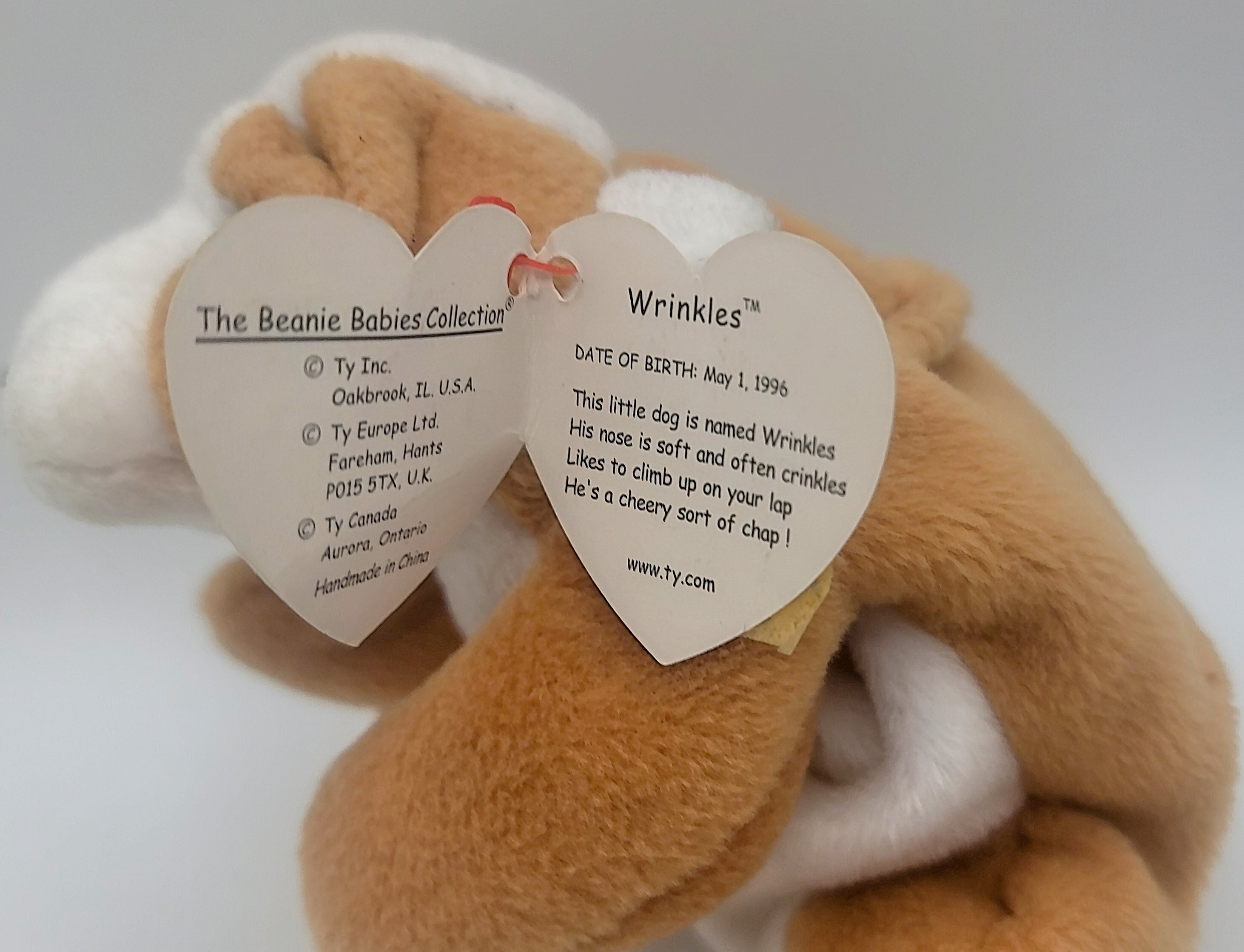 Wrinkles the Bull Dog Ty Beanie Baby With PVC Pellets and Errors