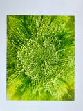 Bespattered Facade 8" x 10" Resin Petri Giclee Print #3