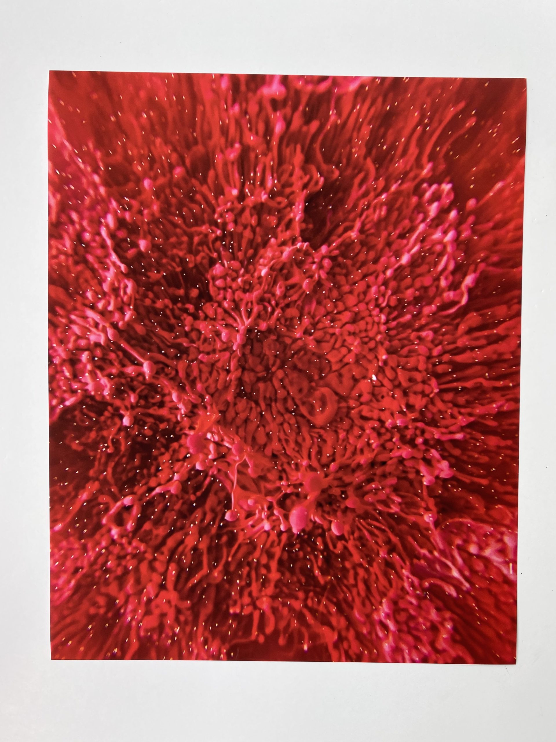 Bespattered Facade 8" x 10" Resin Petri Giclee Print #4