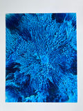 Bespattered Facade 8" x 10" Resin Petri Giclee Print #2