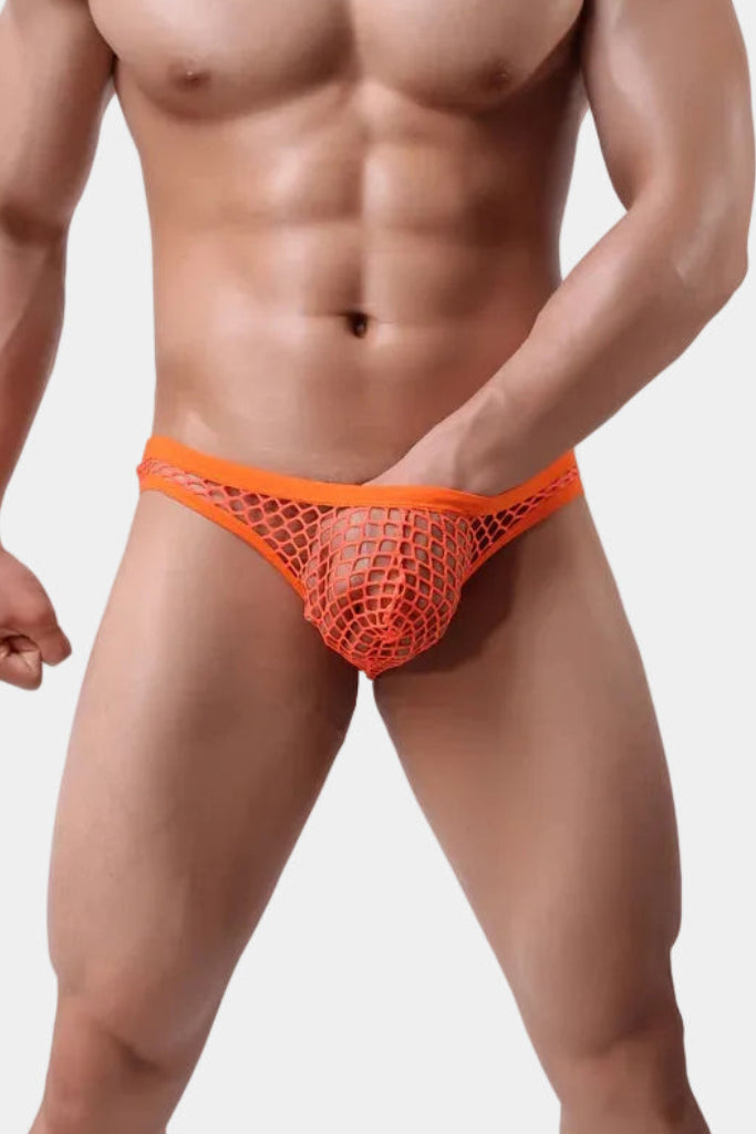 Show It Low-Rise Mesh Brief