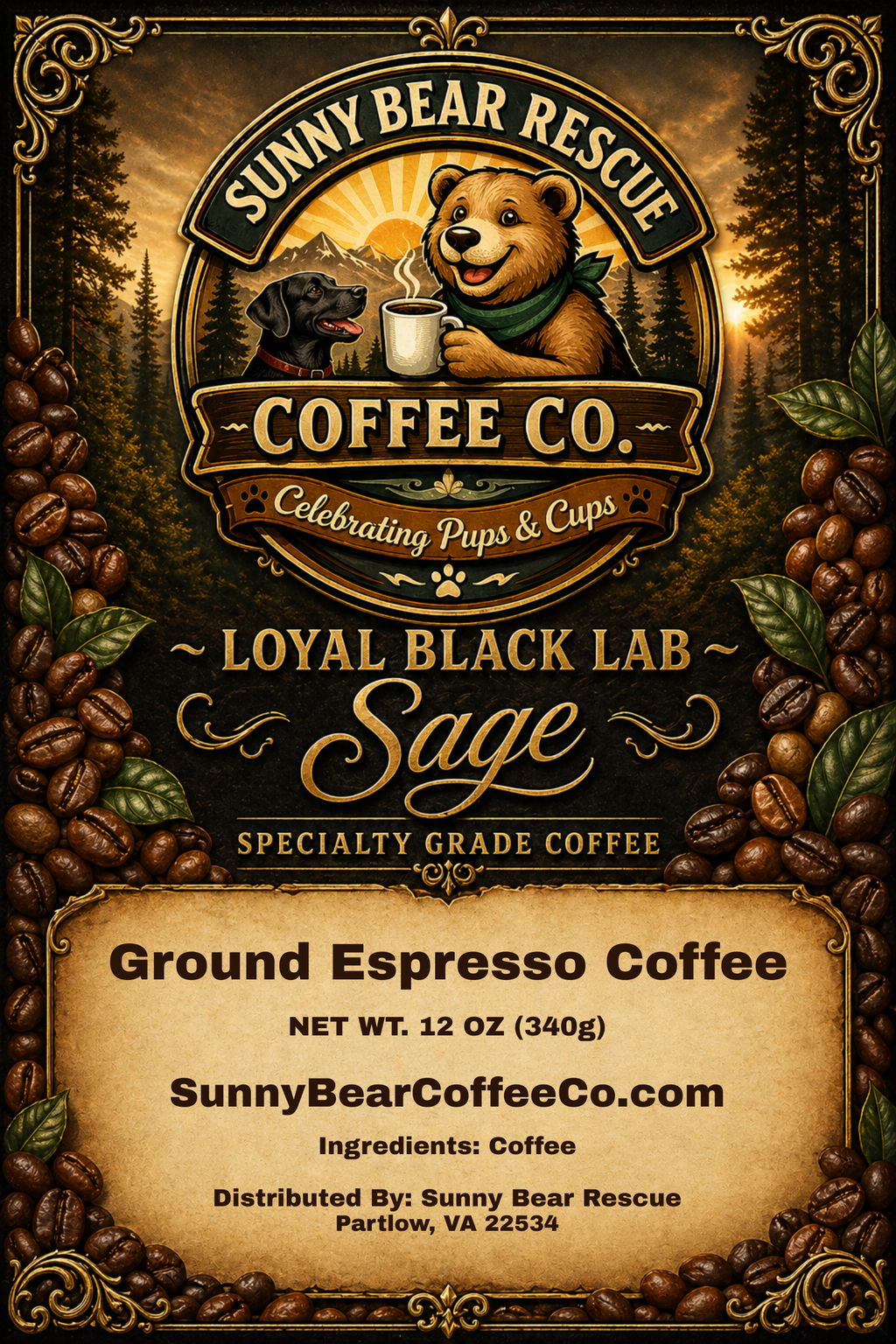 Loyal Black Lab ~ Sage