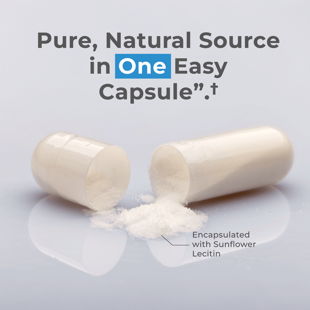 Liposomal Spermidine Capsules
