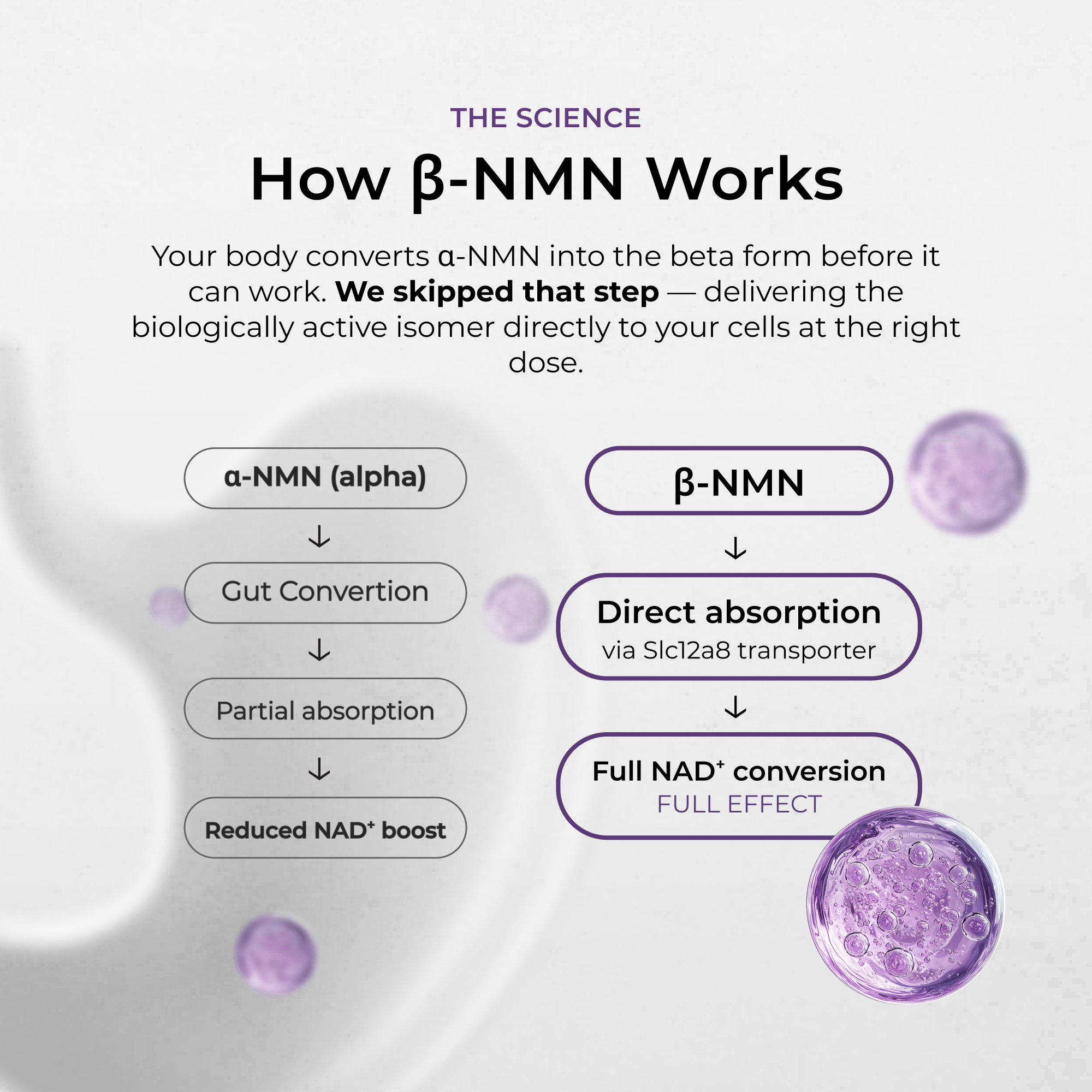 NMN Capsules 900mg