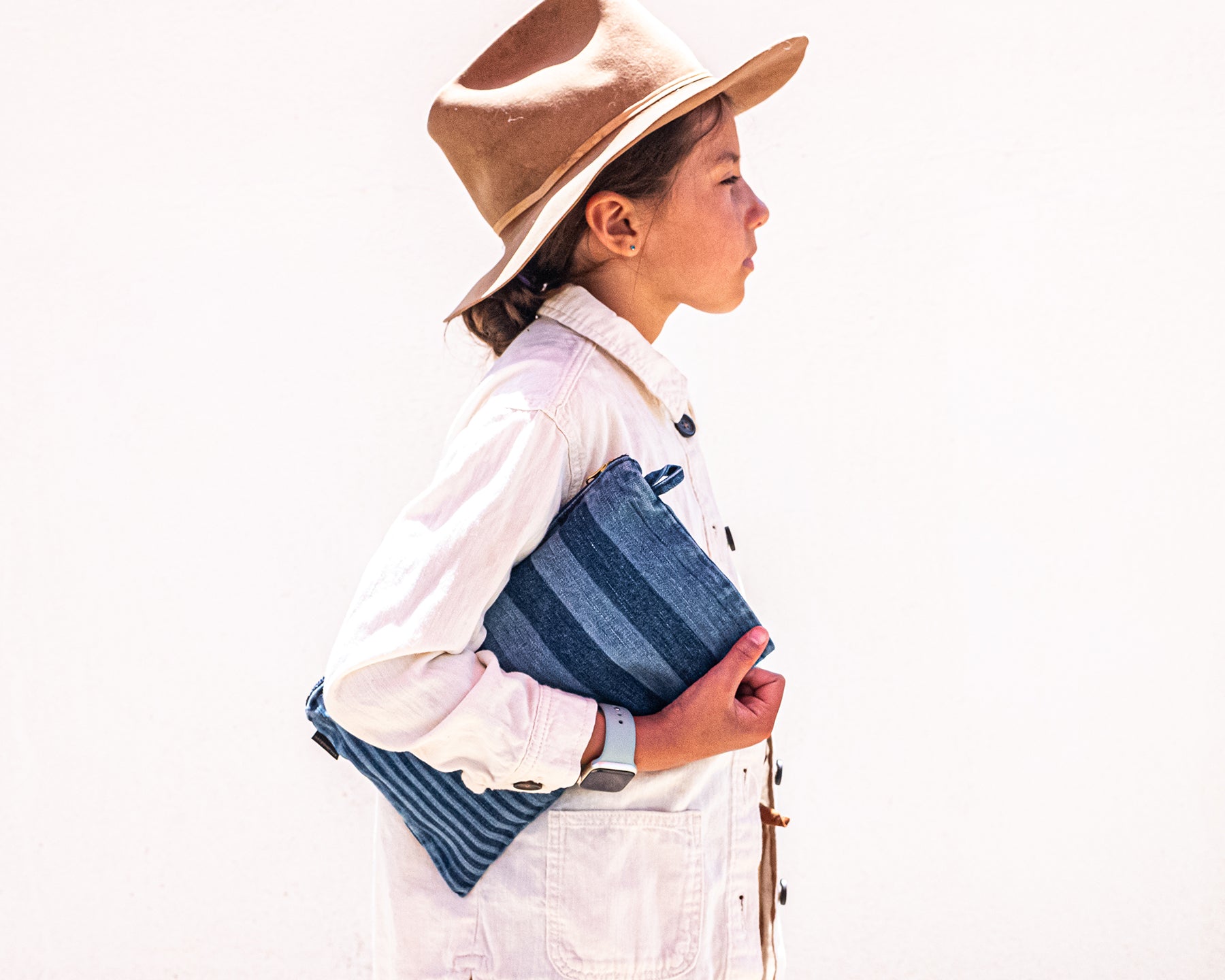 REGI STRIPE DENIM CARRY CASE