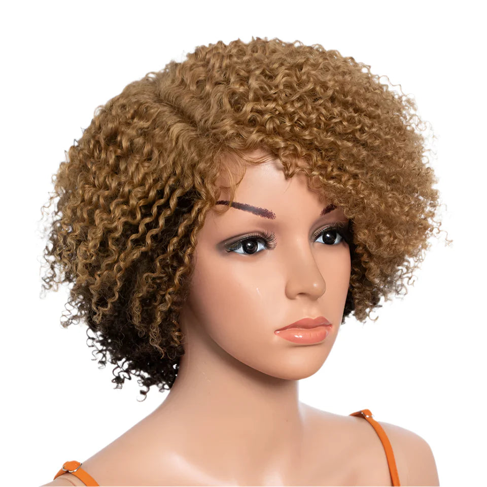 Ombre Honey 4/27 Afro Kinky Curly Bob Wig | Short Human Hair Lace Wig with Baby Hair