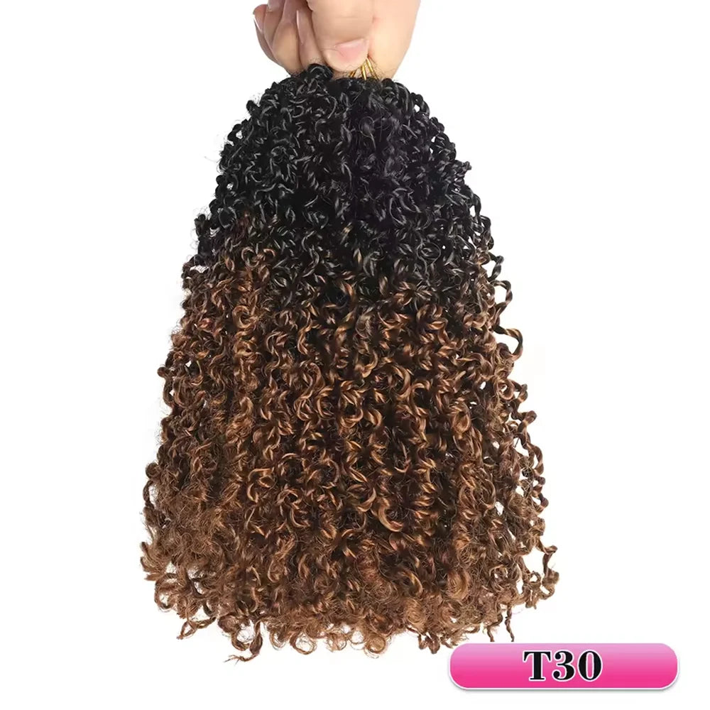 Pre-looped Yanky Twist Crochet Hair | 8/10/12 Inch Passion Twist Braids