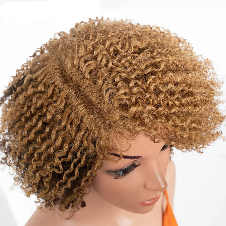 Ombre Honey 4/27 Afro Kinky Curly Bob Wig | Short Human Hair Lace Wig with Baby Hair