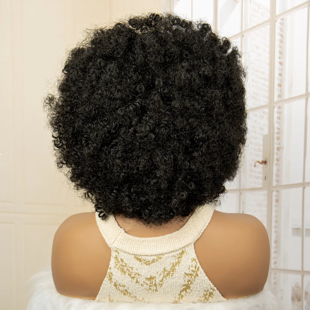 Premium Full Lace Afro Braided Wig - 8 Inch Short Kinky Curly Cornrow Braids Wig with Baby Hair - Natural Look