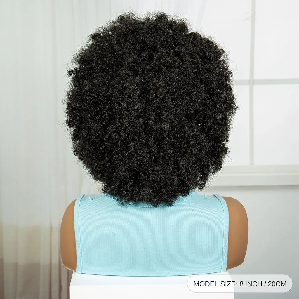 Short Afro Kinky Curly Cornrow Braids Wig | HD Full Lace | Baby Hair