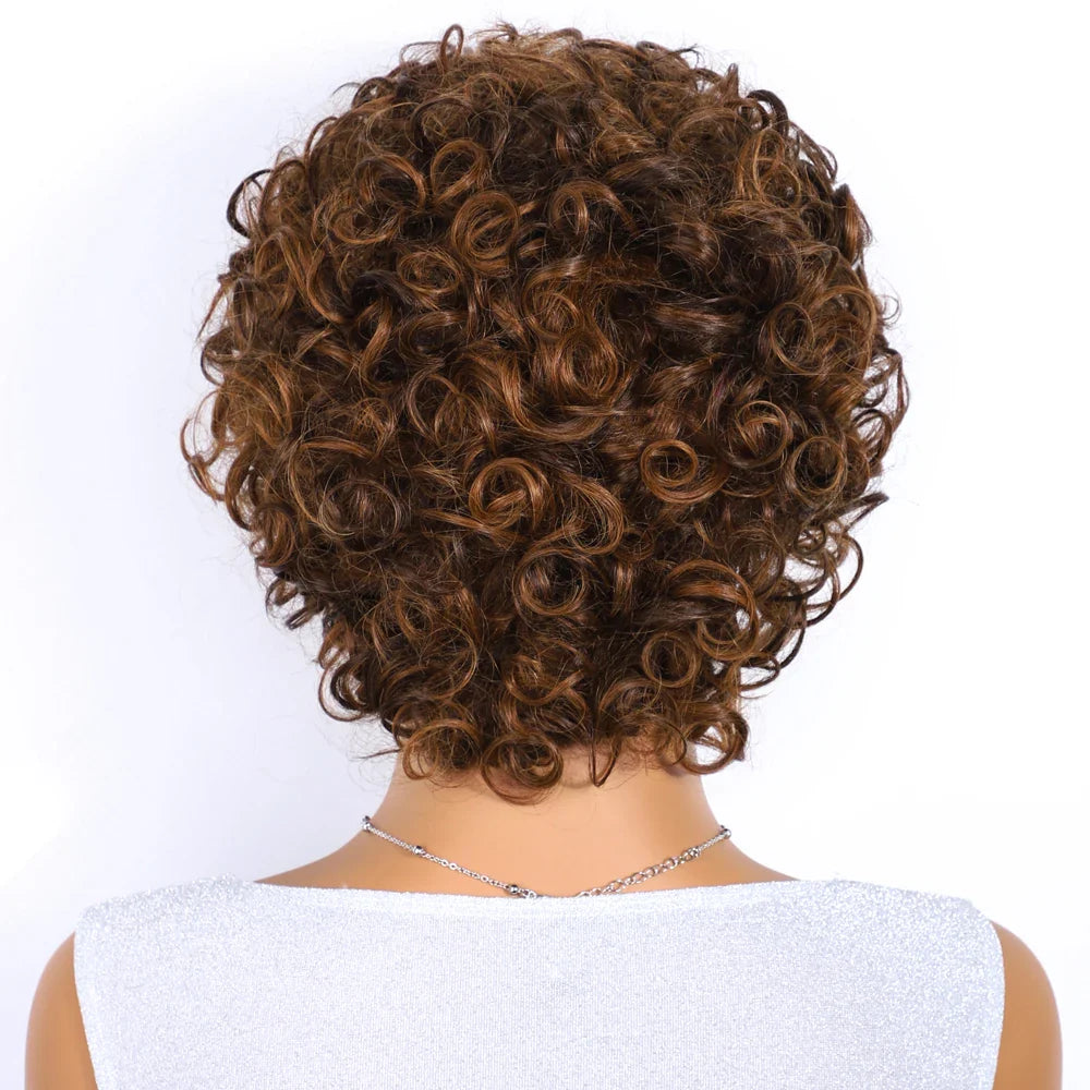 Sleek 100% Real Ready To Wear Short Water Wave Pixie Cut Wigs Brown Colored Curly Brazilian Curly Human Hair Wigs For Women