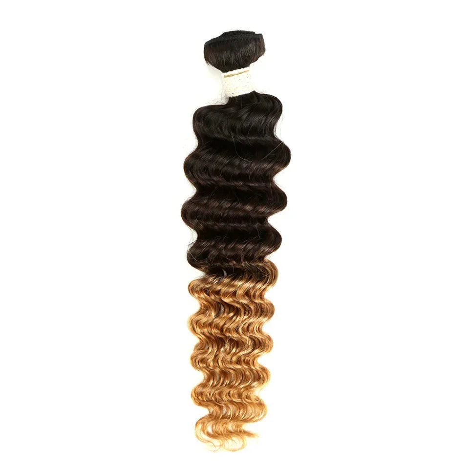 Ombre Brazilian Deep Wave Human Hair Bundles | Remy 2 Tone Color T1B/27#, T1B/30#, T1B/99J# (1, 3, or 4 Pcs)