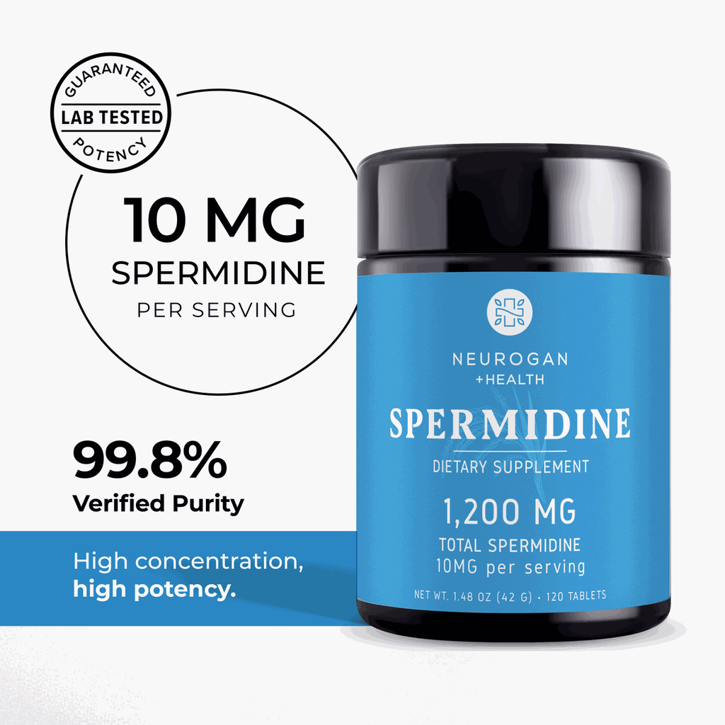 Spermidine Supplement Tablets