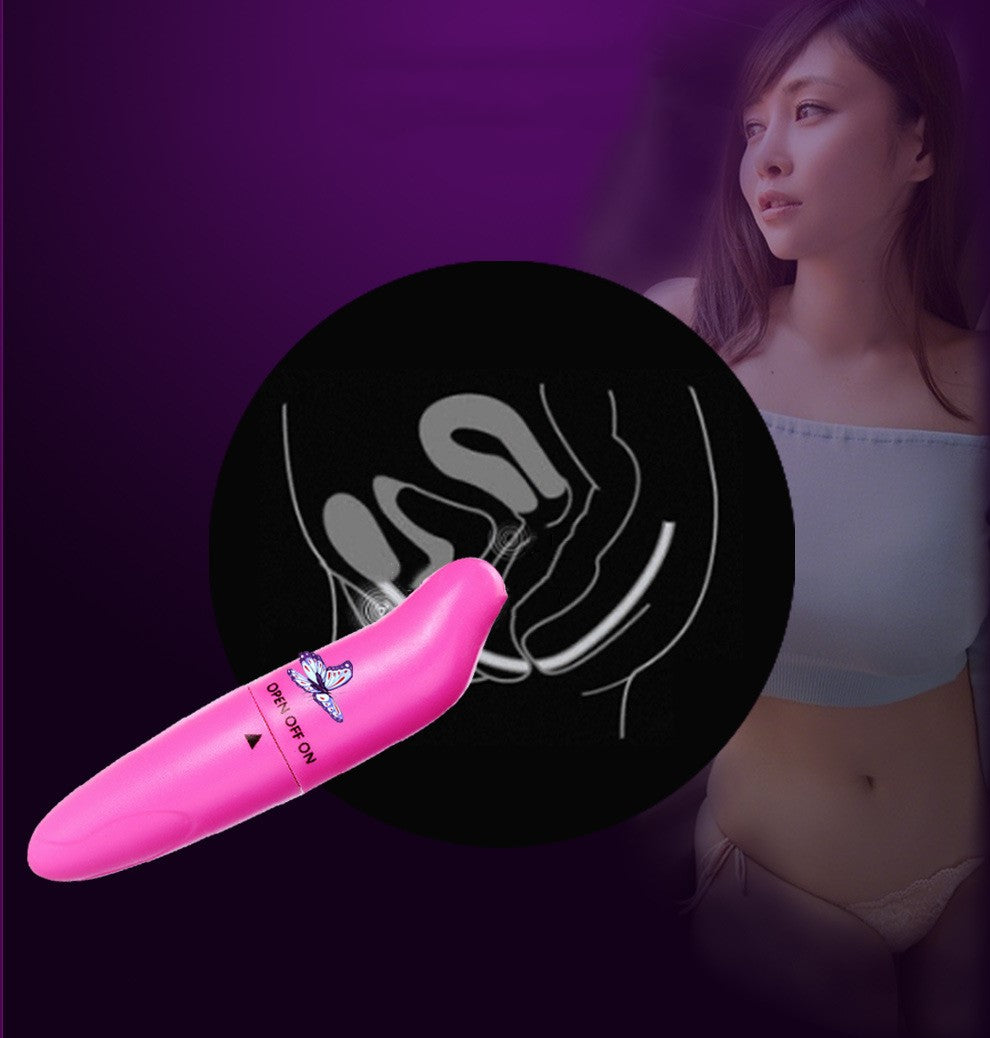 Dolphin Vibrating Massage Wand Mini G-Spot Stimulator