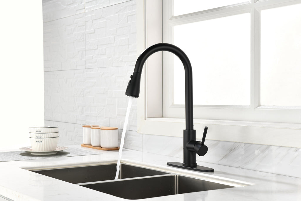 Kitchen Faucet with Pull Out Spraye