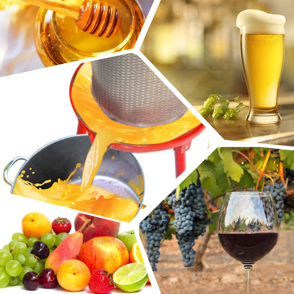 Hydraulic Fruit Wine Press with Fruit and Apple Crusher - Electricity-Free/Water-powered Cider Wine Bladder Press