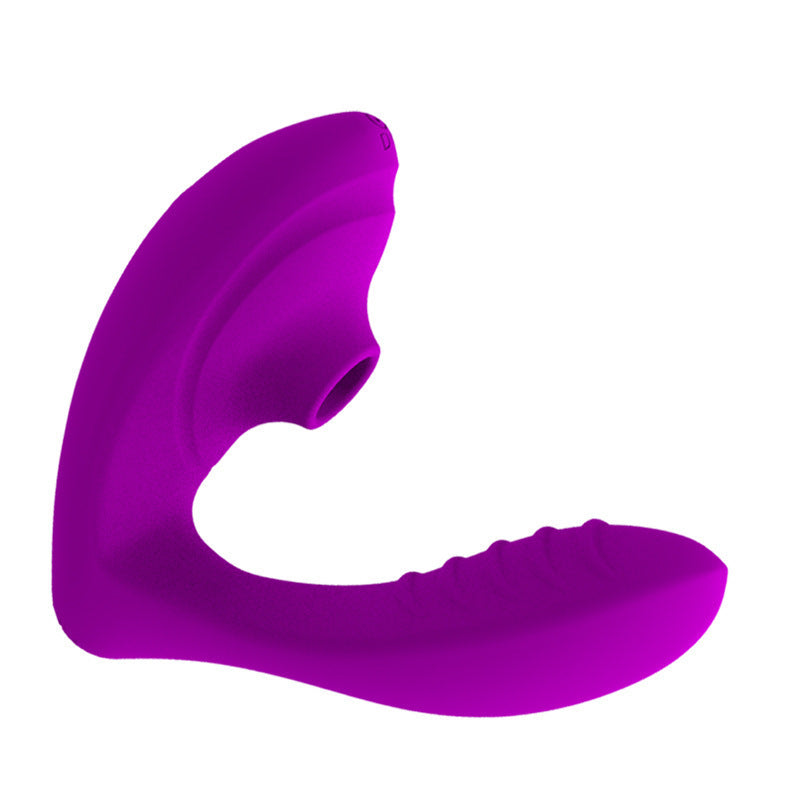 Suction Vibrating Egg and Massage Wand for Women