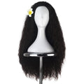 Yan Dream Long Wavy Wig Synthetic Natural Frizzy Dark Brown Hair Wig Movie Cosplay Costume Halloween Wigs Daily Replacement Wig Women Girls Men Wig