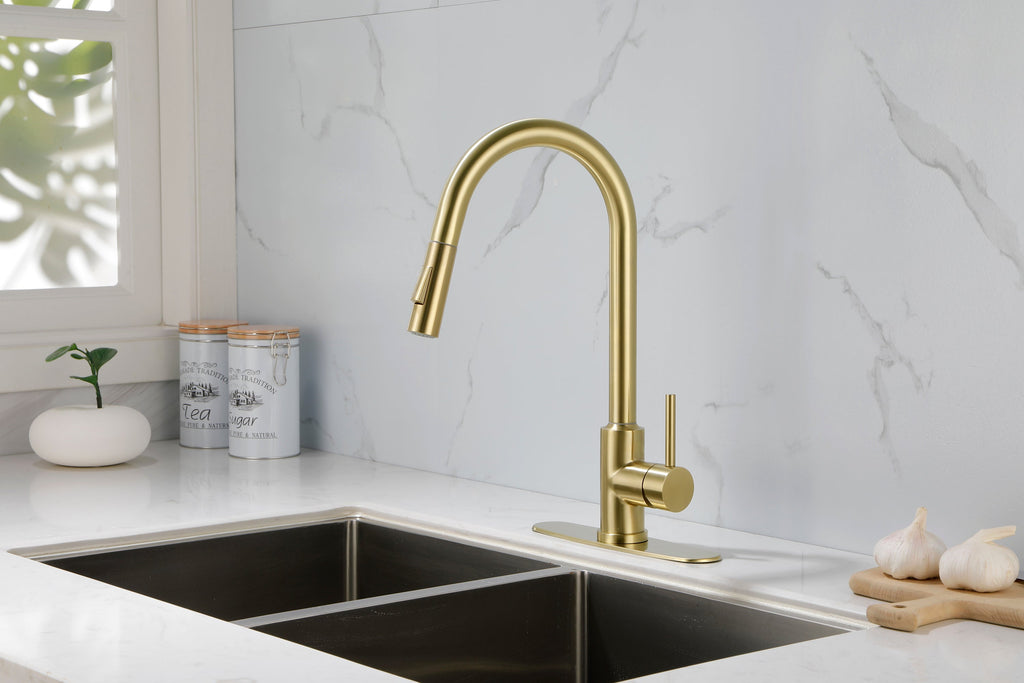 Kitchen Faucet with Pull Down Sprayer