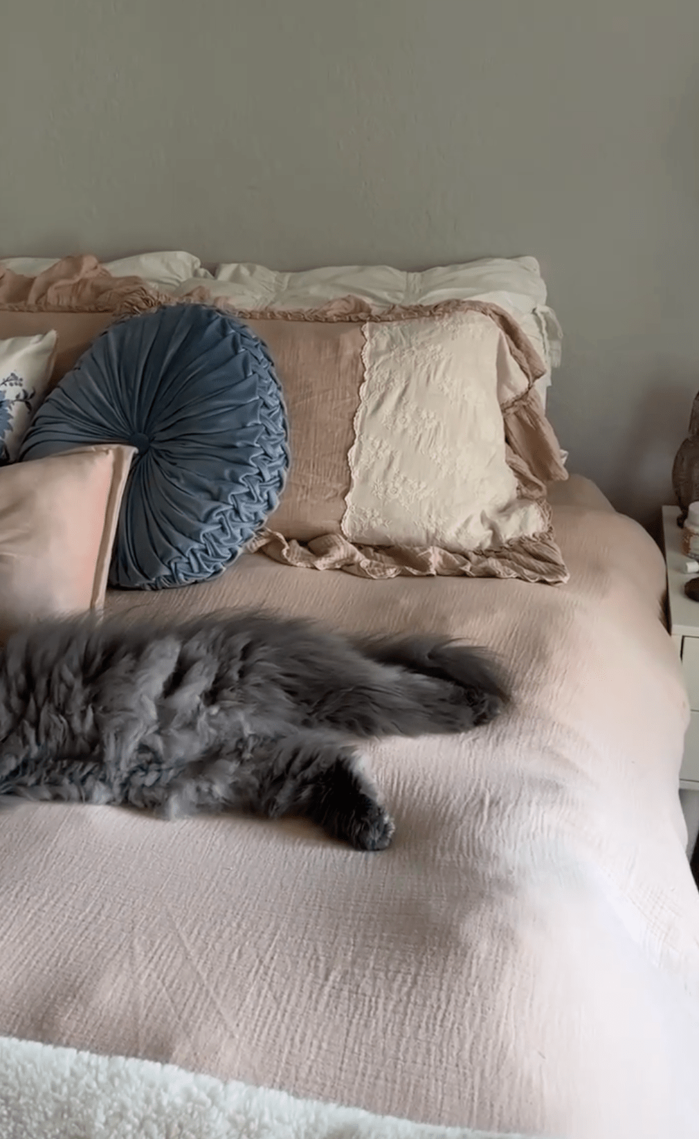 Celeste Soft Lace Embroidered Ruffle Bedding Set  / Coffee Brown