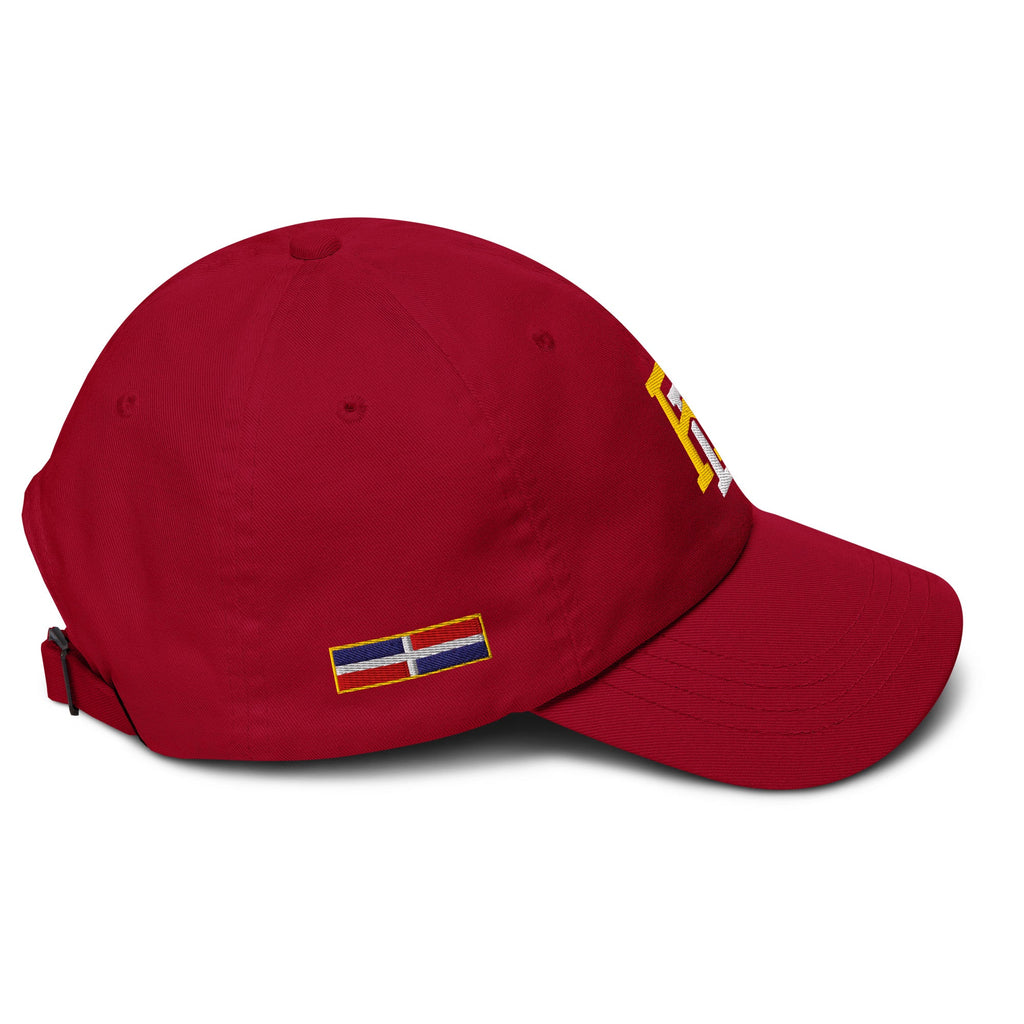 República Dominicana x Rulaylife Edition — Dad hat