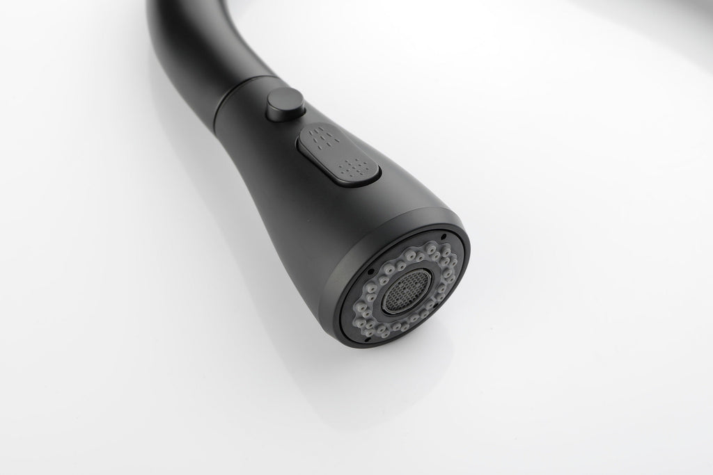 Kitchen Faucet with Pull Out Spraye