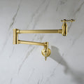 Wall Mount Folding Kitchen Pot Filler Faucet