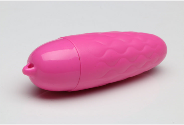 Vibrating Massage Wand and Egg - Adult Pleasure Toys