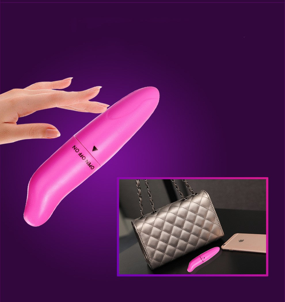 Dolphin Vibrating Massage Wand Mini G-Spot Stimulator