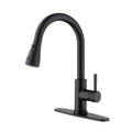 Kitchen Faucet with Pull Out Spraye
