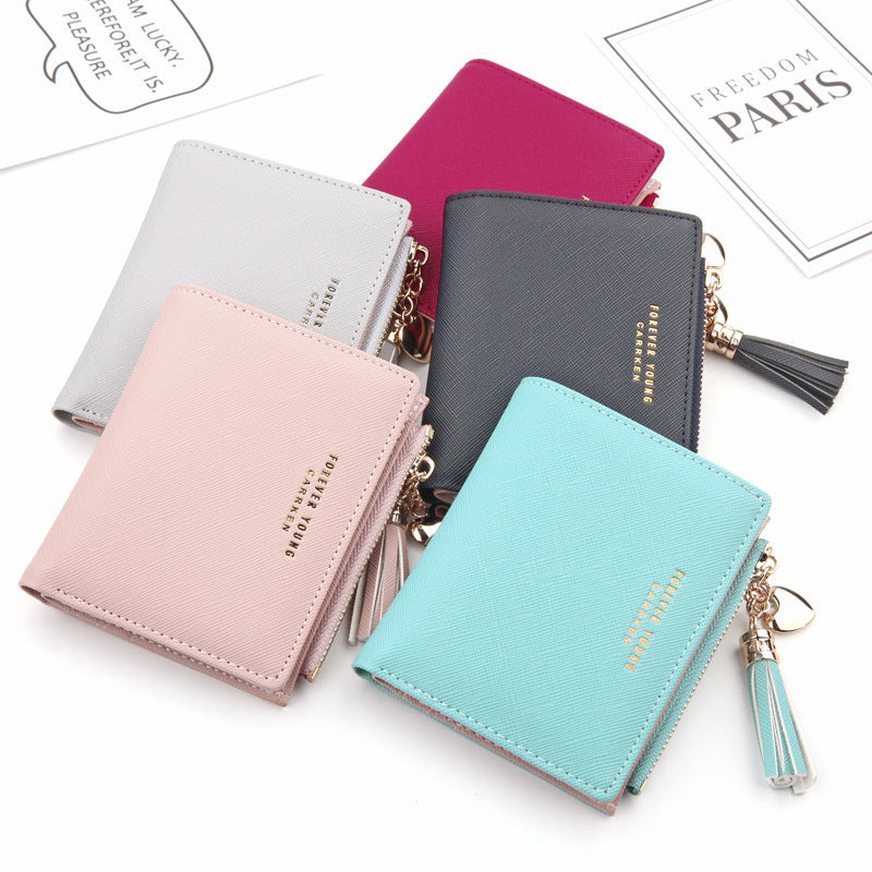 Women's Zipper Coin Purse and Clutch Bag