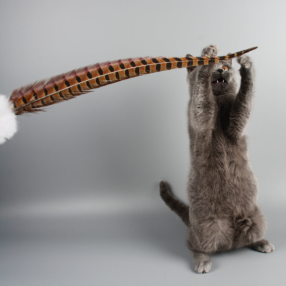 Rabbit and Feather Cat Teaser Wand Toy