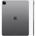 Apple iPad Pro 12.9-inch (5th Gen, 2021) (Wi-Fi + Cellular)