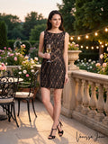 Aidan by Aidan Mattox Women's Sleeveless High Neck Lace Dress,Size 6