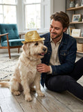 Rubie's Fedora Pet Costume Accessory, Medium/Large