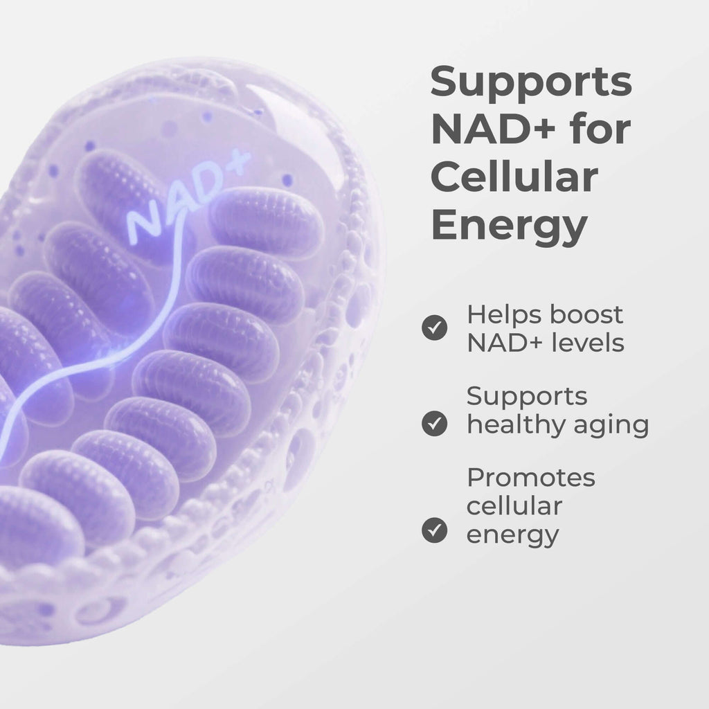 NMN Capsules 500MG