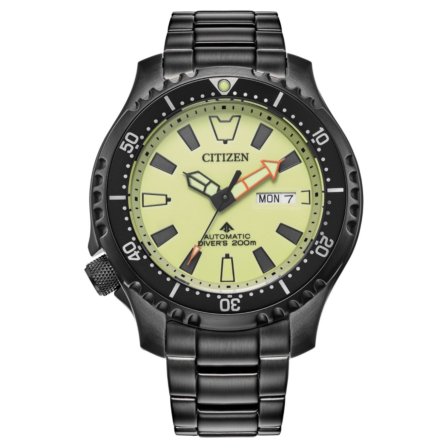 Citizen Men's Promaster