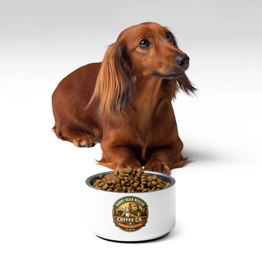 Pet bowl