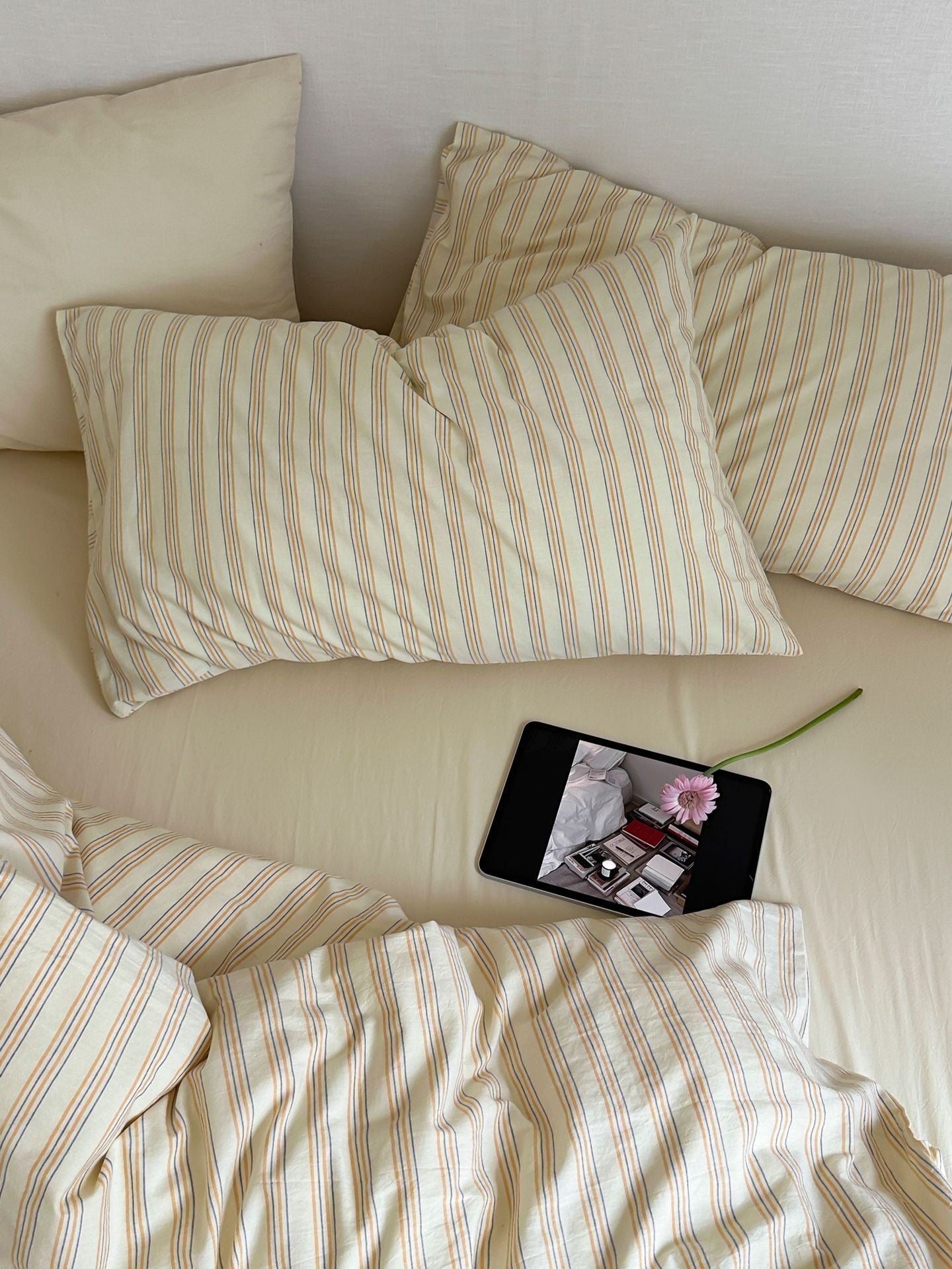 Refreshing Stripe Bedding Set / Blue Single