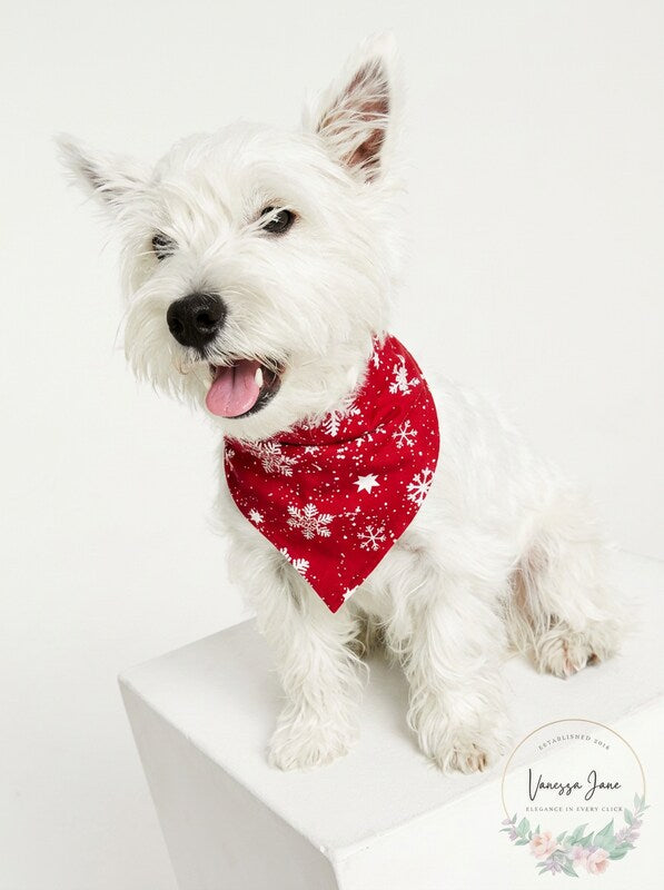 FAMILY PAJAMAS Matching Pet Merry Snowflake Bandana, Candy Red, S/M