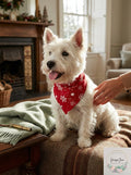 FAMILY PAJAMAS Matching Pet Merry Snowflake Bandana, Candy Red, S/M