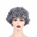 Curly Afro Wigs Synthetic Kinky Curly Wig Short Kinky Curly Wig for Black Women