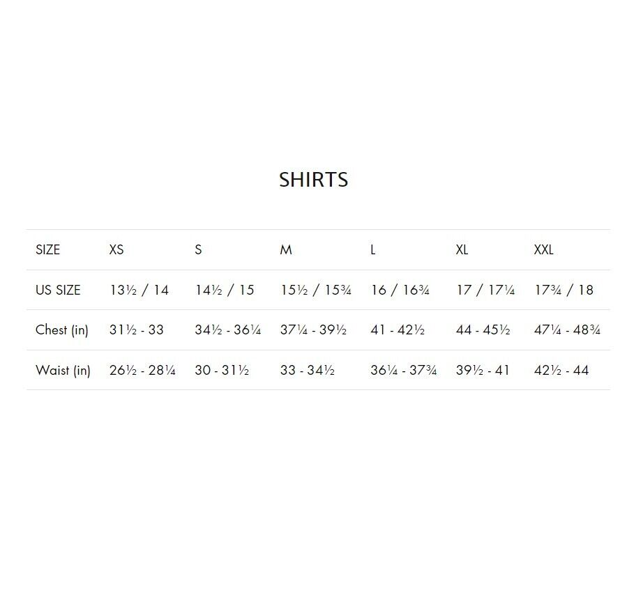 Champion Mens Cotton T-Shirt, Size Large