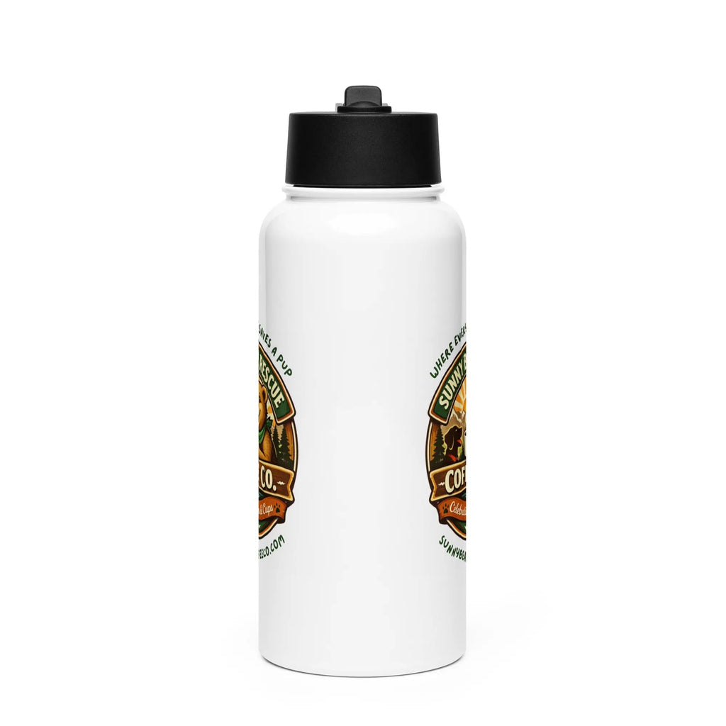 Stainless steel water bottle with a straw lid