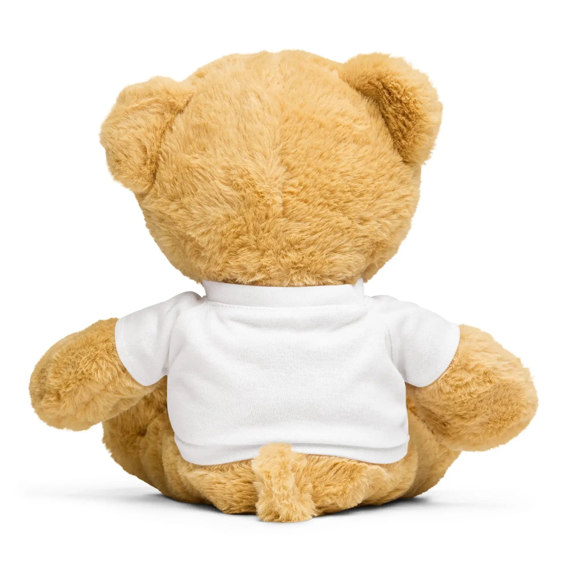 Sunny Bear Rescue Coffee Co Teddy Bear with a T-shirt